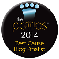Petties_2014_Cause Blog Finalist Badge 200.png